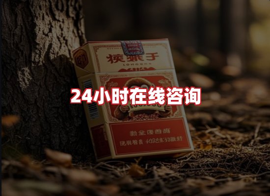 专业团队